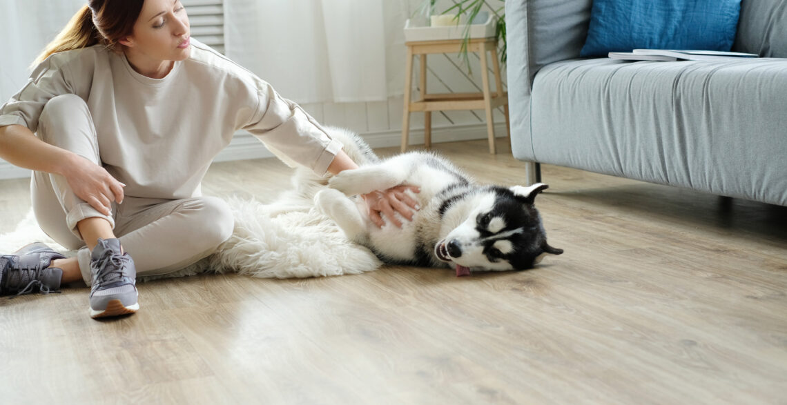 Durable Hardwood Floors for Dog Owners